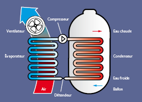 Ballon thermodynamique dans les Ardennes